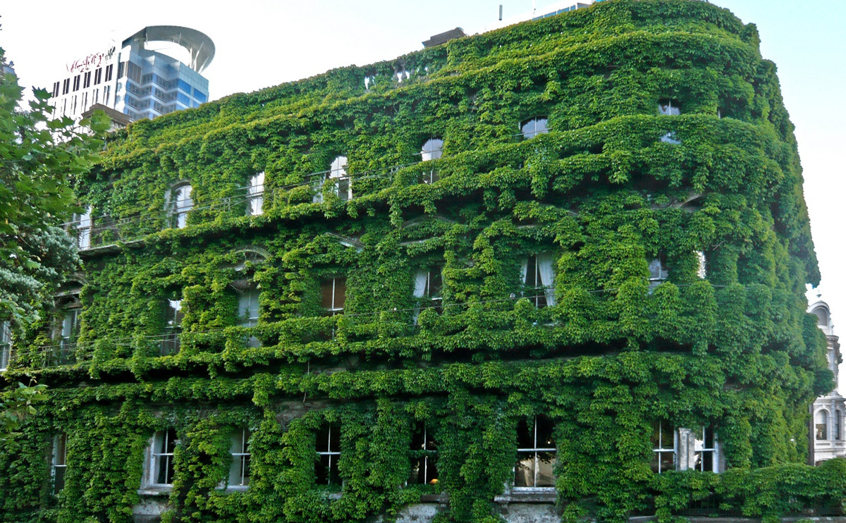 The green building - Smartbat