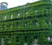 The-green-building