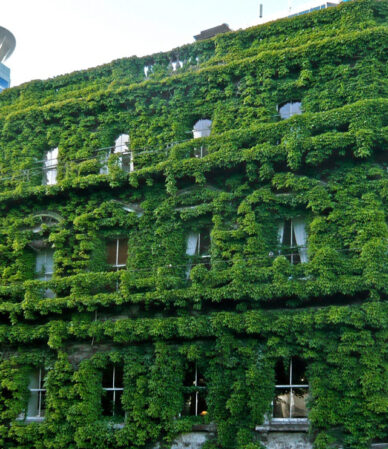 The-green-building